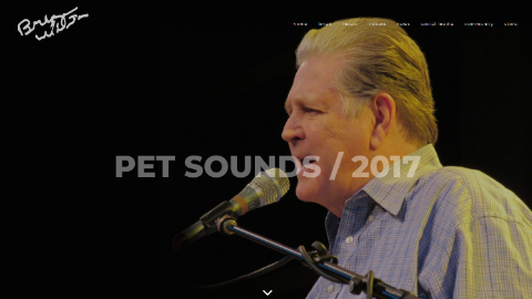 Muzit Performer Demo